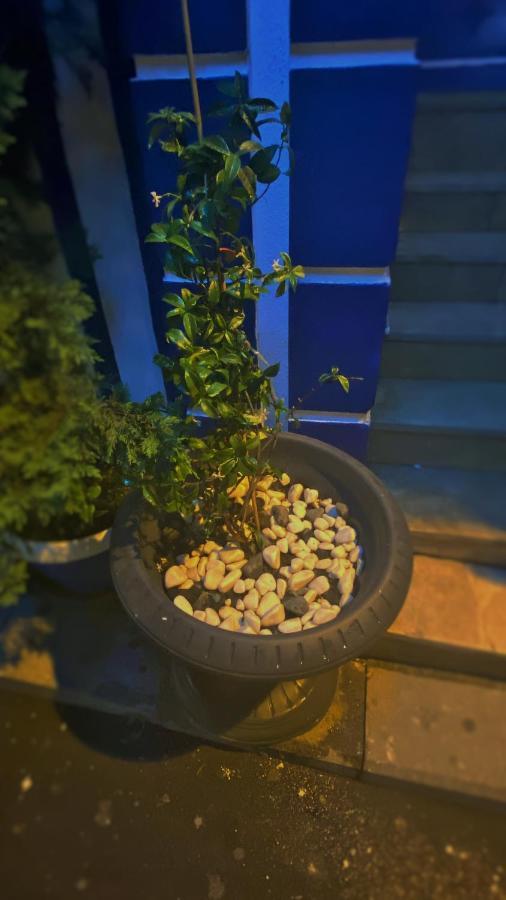 La Petite Maison Hotel Istanbul Ngoại thất bức ảnh